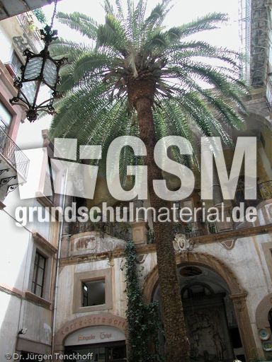 Sizilien (345 von 565).jpg